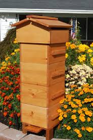 How To Build A Beehive In 6 Easy Steps How To Build A Shed Mit Bildern Bienenzucht Im Garten Bienenhaltung Hinterhof
