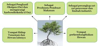 Try the suggestions below or type a new query above. Tumbuhan Sebagai Sumber Kehidupan Mikirbae Com