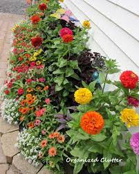 Pin On Shoot S Guest Gardening Board