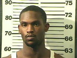 Mobile police arrest twins