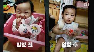 Explore tweets of 벨리나 @smilehonest on twitter. ì •ì¸ì´ ì–'ë¶€ëª¨ì— ì‚´ì¸ì£„ ì—¬ë¡ í™•ì‚° ë²•ì¡°ê³„ ìž…ì¦ ëª»í•˜ë©´ ì˜¤ížˆë ¤ æ¯' ì•„ì£¼ê²½ì œ