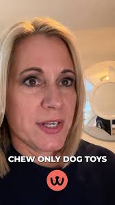 Chew Toys Only According to Angie Winter 🐶🦴 Angie Winter says chew toys  are the only acceptable thing your dog should sink their teeth into! 🐾  It's crucial to guide your dog