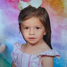 Nick Cuccaro (@ntcucc) • Instagram photos and videos