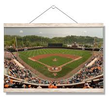 We did not find results for: Tennessee Volunteers Ut Baseball Vol Wall Art