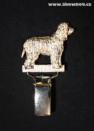 Image result for irský vodní španěl