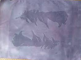 Color Maget Color Moose Art Art