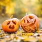 Halloween Fun with Staffordshire Wildlife Trust event image