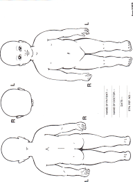 Front Body Diagram Catalogue Of Schemas