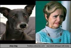 Disagreement on the cause of ct. 73 Amy Sedaris Rocks Ideas Amy Sedaris Amy Jerri Blank