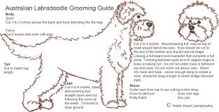 Grooming Diagram Doodlekisses Com Labradoodle