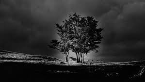 Está buscando consensos entre sus aliados occidentales para amir valle, escritor y periodista. Michel Bricchi Expose Ses Photographies Jusqu Au 23 Juin Centrepresseaveyron Fr