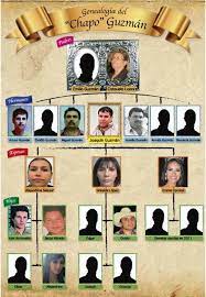 District court for the eastern district of new york, january 23, 2019, in new york city. El Chapo Family Tree Chapo Guzman Mafia Crime Mafia Families