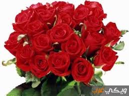 We did not find results for: ØªÙØ³ÙŠØ± Ø±Ø¤ÙŠØ© Ø§Ù„ÙˆØ±Ø¯ Ø§Ù„Ø£Ø­Ù…Ø± ÙÙŠ Ø§Ù„Ù…Ù†Ø§Ù… ÙˆÙŠÙƒÙŠ Ø¹Ø±Ø¨