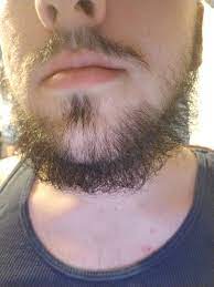 One Month In And Looking To Go For A Year Cartoon Character Design One Month Beard Styles