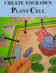Create your own animal cell and plant cell. Plant Cell Organelle Cut And Paste By Mrs G Classroom Tpt