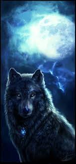 Beautiful Art Wolf Wolf Spirit Wolf Love Black Wolf