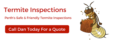 Skunks, raccoons, gophers, squirrels, birds and other common small animals / dead animal removal. Pest Control Perth All Suburbs All Pests Megatec Services