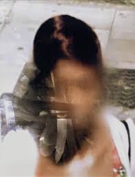 Bildergebnis für Shahin Afrassiabi