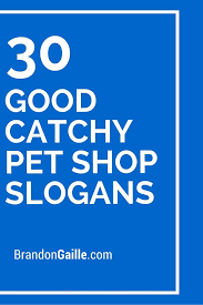 125 Good Catchy Pet Shop Slogans Pet Shop Pet Care Business Slogan