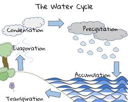 The Water Cycle Anchor Chart