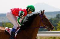 Jockey Meaning In The Cambridge English Dictionary