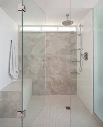 Small Transom Bath Design Ideas Pictures Remodel And Decor Window In Shower Bathroom Remodel Master Bathrooms Remodel