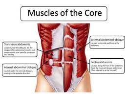 This sweat evaporates from the skin and cools the skin. Micka S Training Your Core Muscles Are Fundamental To How Your Body Moves And Functions If They Aren T Strong You Will Struggle With Aches And Pains We Work On Strengthening Our Core