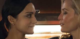 The Fall.; British/Irish/NI murder drama ft. Gillian Anderson and Archie  Panjabi.