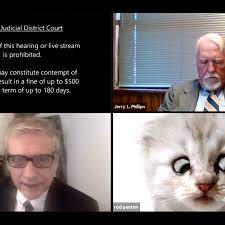 He was briefly unable to turn the filter. I M Not A Cat Says Lawyer Having Zoom Filter Difficulties The New York Times