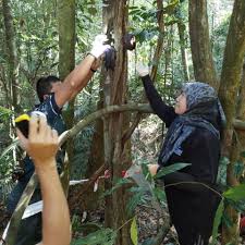 Look through examples of hutan simpan translation in sentences, listen to pronunciation and learn grammar. Aktiviti Persampelan Bagi Projek Pembangunan Pangkalan Data Dna Bagi Khazanah Hutan Negara Di Hutan Simpan Pahang Dan Kelantan Jabatan Kimia Malaysia