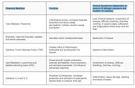 The Biochemical Pathway The Molecular Basis Of Allergies