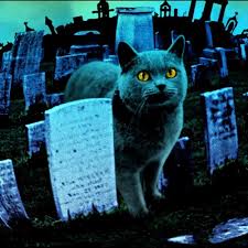Pet cemeteries aren't a recent development: Take Me To The Pet Cemetery By Gregory Pepper