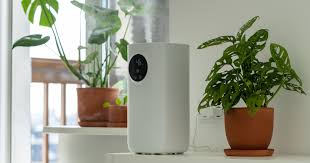 Impact Of Indoor Air Quality On Your Health And Comfort | Intelligent  Design Air Conditioning, Plumbing, Solar, & Electric