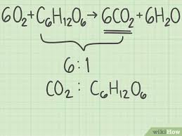 How to find percent yield for chemical experiments? How To Calculate Percent Yield In Chemistry 15 Steps