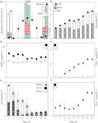 Discover the vessel's particulars, including capacity, machinery, photos and ownership. Frontiers Microbial Processing Of Jellyfish Detritus In The Ocean Microbiology
