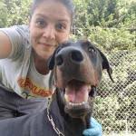 Addestratori Cinofili a Mestrino