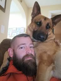 German Shepherd Akita mix dog tricks