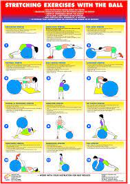 Exercise Gym Ball Stretching Exercise Poster