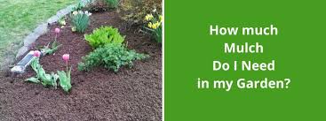 We did not find results for: How Much Mulch Do I Need In My Garden Importance Of Mulch Decoratoradvice Com