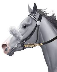 Jullelin Professional General Artist Deviantart Horse Cartoon Horse Animation Horse Drawings