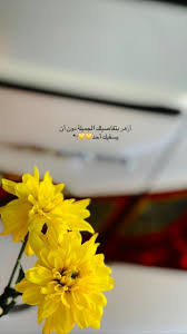 Pin By Ahmed Rehemi On صور Iphone Wallpaper Quotes Love Love Quotes Wallpaper Love Quotes Photos