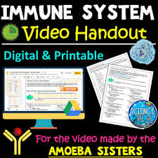 Some of the worksheets for this concept are amoeba. Immune System Video Handout Amoeba Sisters Video Digital And Printable