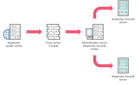 Schemes For Updating Anti Virus Application Databases And Modules Used Within An Organization