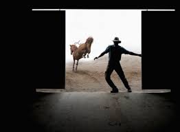 She practices condominium law with the firm, miller thomson. Deal With The Horse Before It Gets Out Of The Barn Fields Of Success Coaching