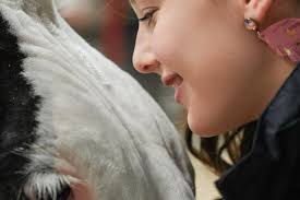 Hello, I was wondering if someone could get me in contact with the 4H  division that Brandon would be apart of.