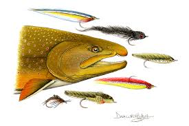 Trout flies make up the majority of all fly patterns that exist in the world today. Bull Trout And Flies Dave Emily Whitlock