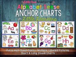 Literacy Anchor Charts For Little Learners Little Bird