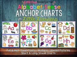 literacy anchor charts for little learners little bird