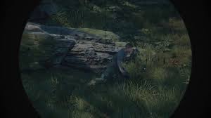 Go behind enemy lines with the ultimate modern military shooter. Sniper Ghost Warrior 3 Sammelobjekte Artefakte Und Trophaen Scharfschutzengewehre