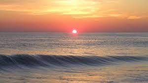 World ocean day is observed annually on june 8 all over the world. 0dyp J6qjmfsrm